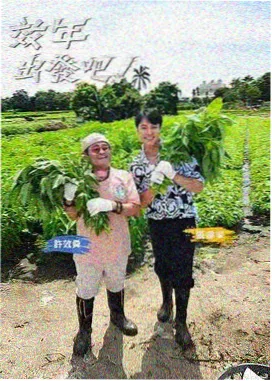 音乐对决 中文字幕在线观看